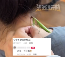 游戏专题 第55页