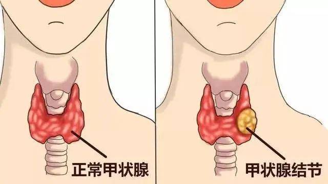 娱乐生活 第30页