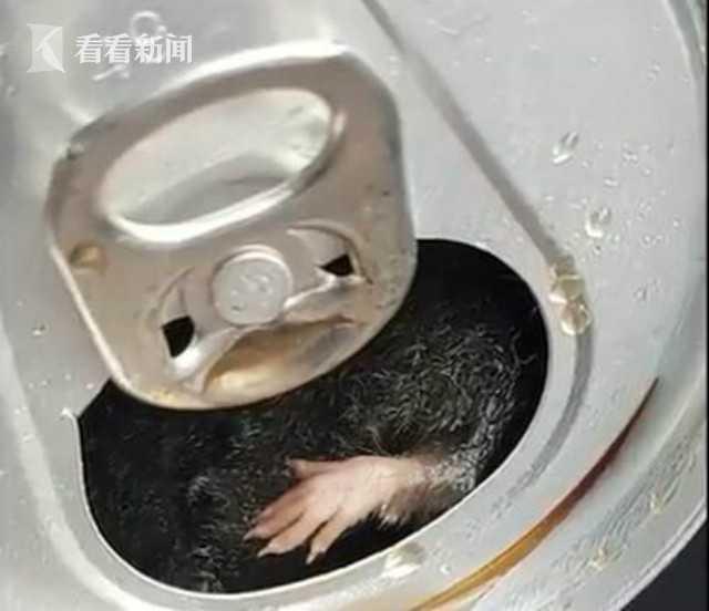 男子将死老鼠放饮料机上被刑拘