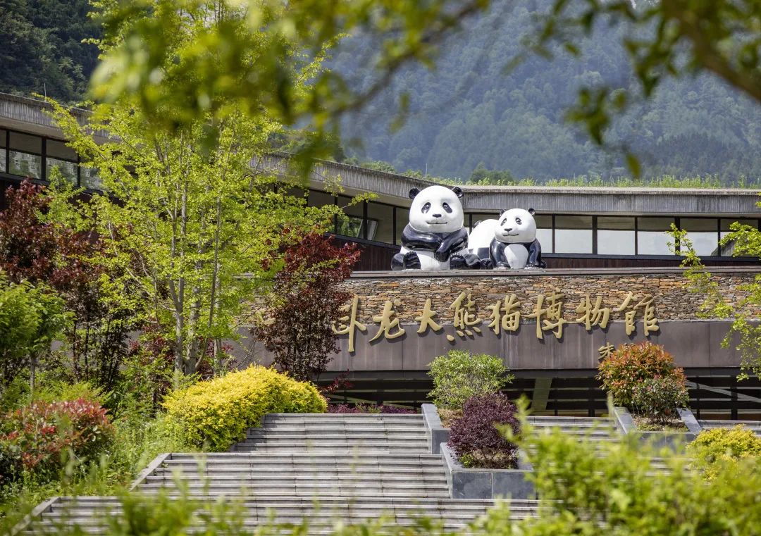 平武熊猫公园保护区范围平武熊猫公园保护区范围，守护大熊猫的家园